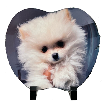 Marco Piedra Forma Manzana de 19x17 Personalizado con Foto