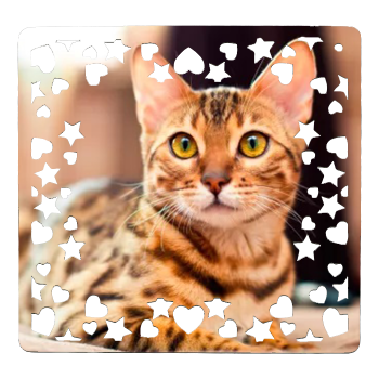 Marco Madera Estrellas y Corazones de 20x20 Personalizo con Foto